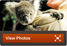 View Photos Australia Family Vacations | Adventures By Disney