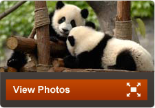View Photos China Family Vacations | Guided Tours of China | Adventures By Disney