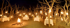 South Africa Family Vacations | Adventures By Disney - Itinerary: Day 7 South Africa Family Vacations | Adventures By Disney - Itinerary: Day 7