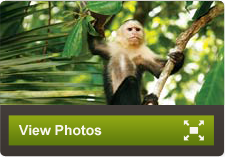 Costa Rica Vacation Packages | Adventures By Disney