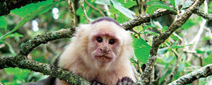 Costa Rica Family Vacations | Adventures By Disney - Itinerary: Day 6 Costa Rica Family Vacations | Adventures By Disney - Itinerary: Day 6