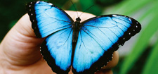 Eastern Costa Rica