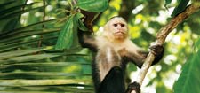 Eastern Costa Rica