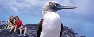 Ecuador & Galapagos Family Vacations | Adventures By Disney - Itinerary: Day 6 Ecuador & Galapagos Family Vacations | Adventures By Disney - Itinerary: Day 6