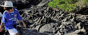 Ecuador & Galapagos Family Vacations | Adventures By Disney - Itinerary: Day 8 Ecuador & Galapagos Family Vacations | Adventures By Disney - Itinerary: Day 8