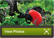 View Photos Galapagos Family Vacation | Adventures by Disney