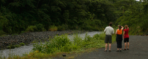Western Costa Rica Family Vacations | Adventures By Disney - Itinerary: Day 1 Western Costa Rica Family Vacations | Adventures By Disney - Itinerary: Day 1
