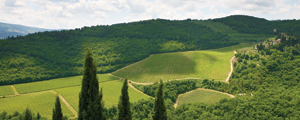 Italy Signature Family Vacations | Adventures By Disney - Itinerary: Day 4 Italy Signature Family Vacations | Adventures By Disney - Itinerary: Day 4