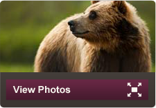 View Photos Alaska Family Vacations | Adventures By Disney