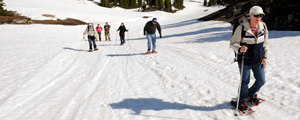 Montana and Alberta Family Vacations | Adventures By Disney - Itinerary: Day 5 Montana and Alberta Family Vacations | Adventures By Disney - Itinerary: Day 5