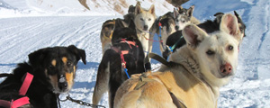 Jackson Hole and Yellowstone Winter Tours | Adventures By Disney - Itinerary: Day 2 Jackson Hole and Yellowstone Winter Tours | Adventures By Disney - Itinerary: Day 2