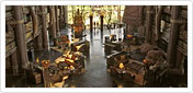 Disney's Animal Kingdom Lodge 