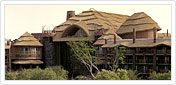 Disney's Animal Kingdom Villas – Jambo House