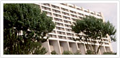 Disney's Contemporary Resort 