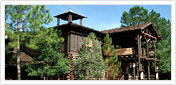 The Cabins at Disney's Fort Wilderness Resort 