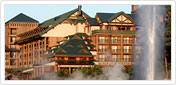 The Villas at Disney's Wilderness Lodge