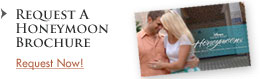 Honeymoon Video/Brochure