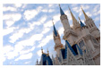 WDW News