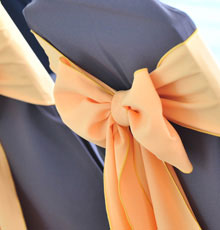 Wedgewood blue chair covers
