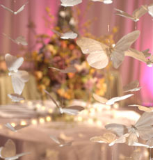 Ceiling treatment