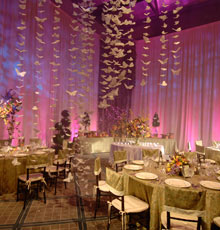 Ceiling pipe and drape