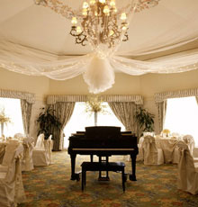 White tulle canopy