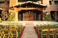 Wedding Garden