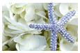 Crystal Starfish