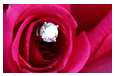 Crystal Bling