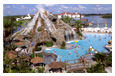 Disney's Polynesian Resort