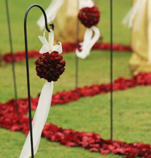 Garden ceremony on the lawn