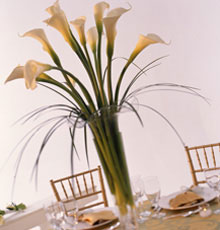 Sky High Calla Centerpiece