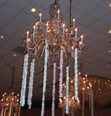Gold and crystal chandeliers 