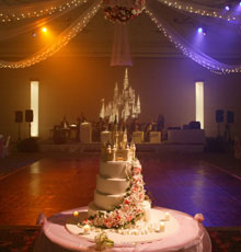 Pin spot lighting 