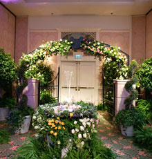 Pedestal columns