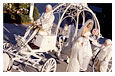 Cinderella Coach