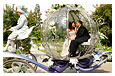Luxury Motor Coach Charters