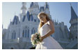 Magic Kingdom Park