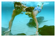 Excursions