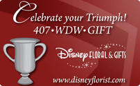 Disney Floral & Gifts for Sports