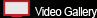 Video Gallery