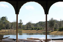 Golden Oak In the News