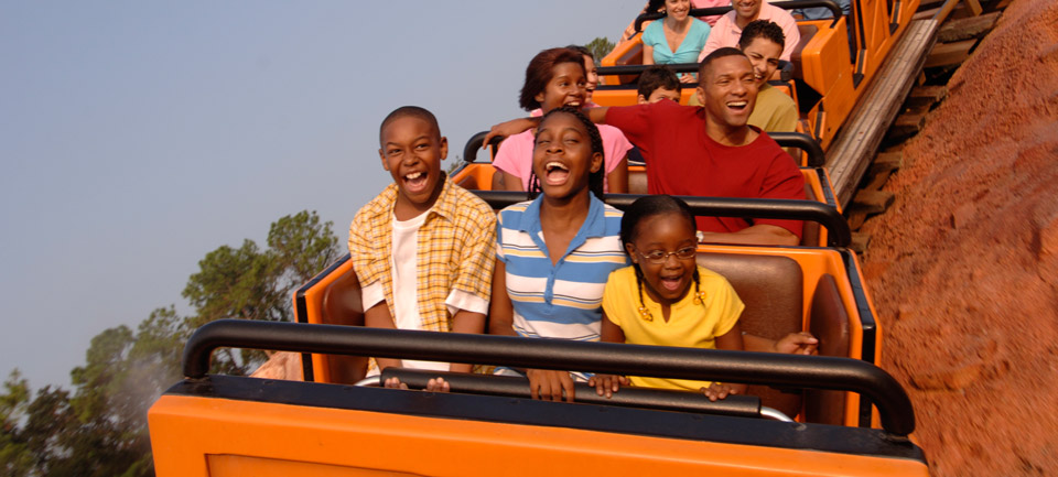 Thrills & Screams