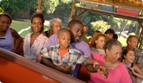 Kilimanjaro Safaris