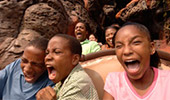 Disney Must-Do's
