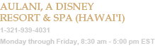 Disney Hawaii
