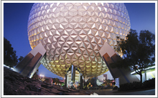 Disney Institute