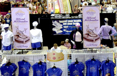Disney's Fit for a Princess Expo