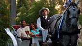 Carriage_Rides.jpg