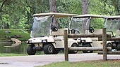 wdw-the-cabins-at-ft-wilderness-recreation-electric-cart-rentals-170x96.jpg
